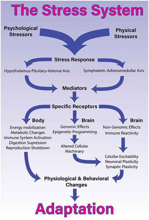 TheStressResponseandItsEcologicalConsequences