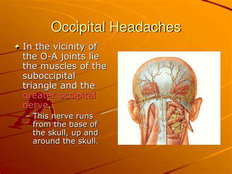 CommonCausesofOccipitalBonePain