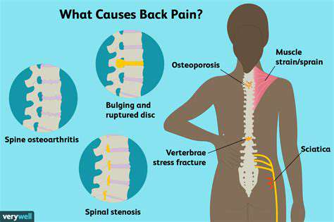 CommonCausesofPainattheBase