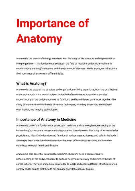 TheImportanceofUnderstandingAnatomy