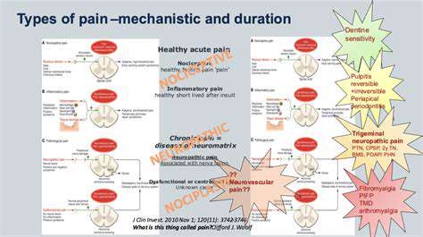 TypesofPainandTheirUnderlyingMechanisms