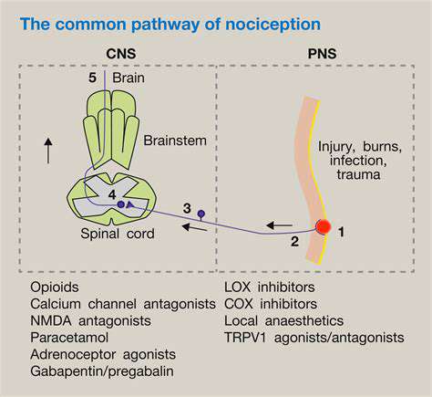 1.Non-OpioidAnalgesics