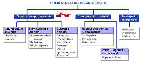 2.OpioidAnalgesics