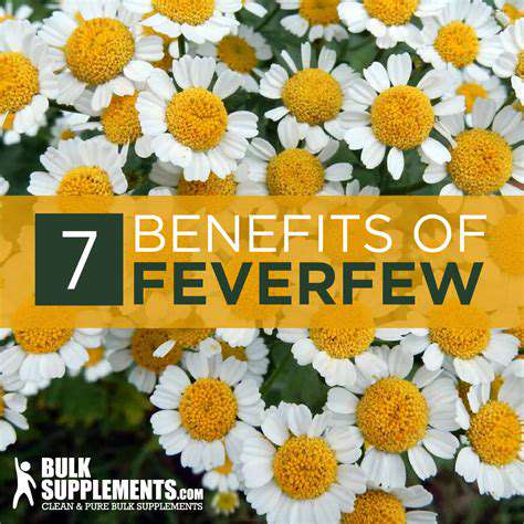 Feverfew:PreventingInflammatoryHeadaches