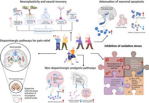 ImplicationsforPainManagement:AddressingtheUnderlyingMechanisms