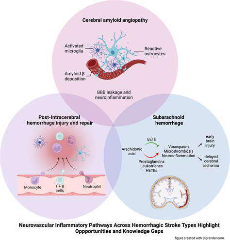 Inflammation'sRoleintheBrain:AComplexPicture