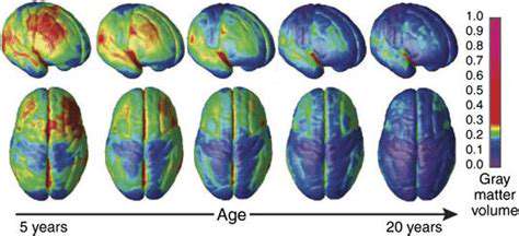 NeuroimagingStudiesandGreyMatterDensity