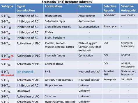 SerotoninReceptorSubtypesandTheirImpact