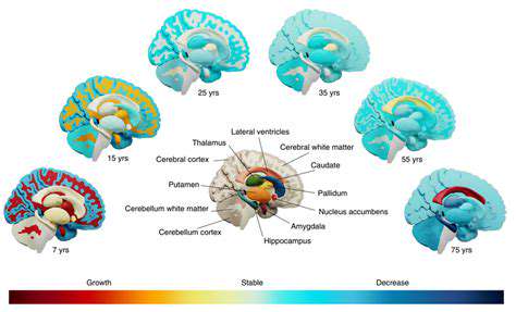 StructuralChangesintheBrain:BeyondtheImmediate