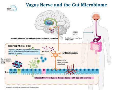 TheGut-BrainConnection:APotentialMechanism