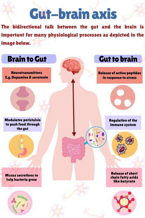 TheGut-BrainConnectionandMigraineTriggers