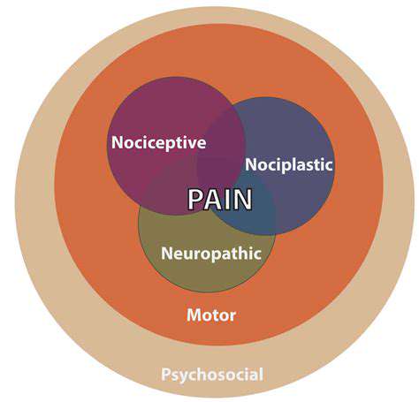 ThePotentialMechanismsofActioninPainManagement