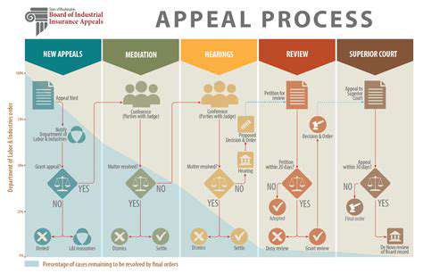UnderstandingtheAppealProcessandTimeline