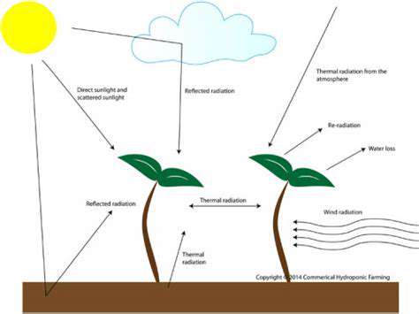 UnderstandingtheImpactofTemperatureandLightExposure