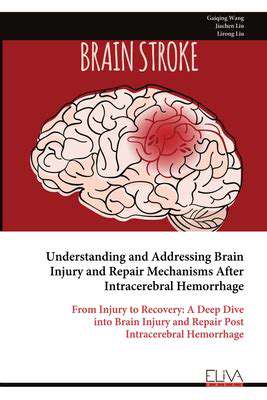 CSDMechanisms:ADeepDiveintotheBrain'sResponse