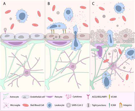 PotentialMechanismsofBBBDisruptioninMigraine