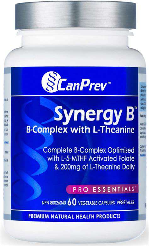 VitaminBComplex:ASynergisticApproach