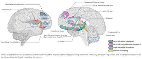 AlteringNeuralPathwaysandEmotionalReactivity