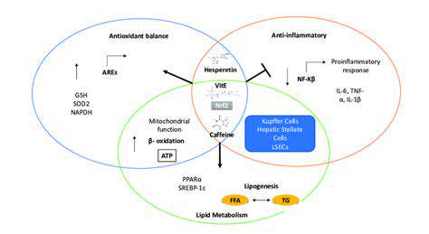 AntioxidantStrategiesandPotentialTherapeuticImplications