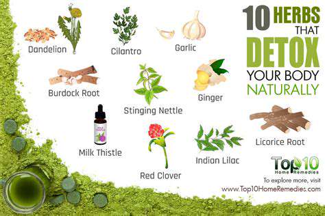 HerbalRemedies:BalancingtheBodyThroughNaturalIngredients