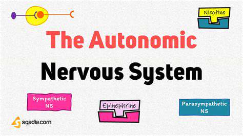 IntroductiontotheAutonomicNervousSystem