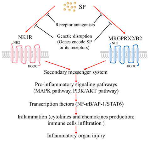 SubstanceP:AKeyMediatorofPainandInflammation