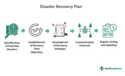 TheProcedureandRecoveryProcess