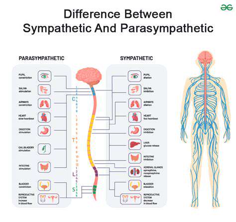 TheSympathetic-ParasympatheticImbalanceinHeadacheDisorders